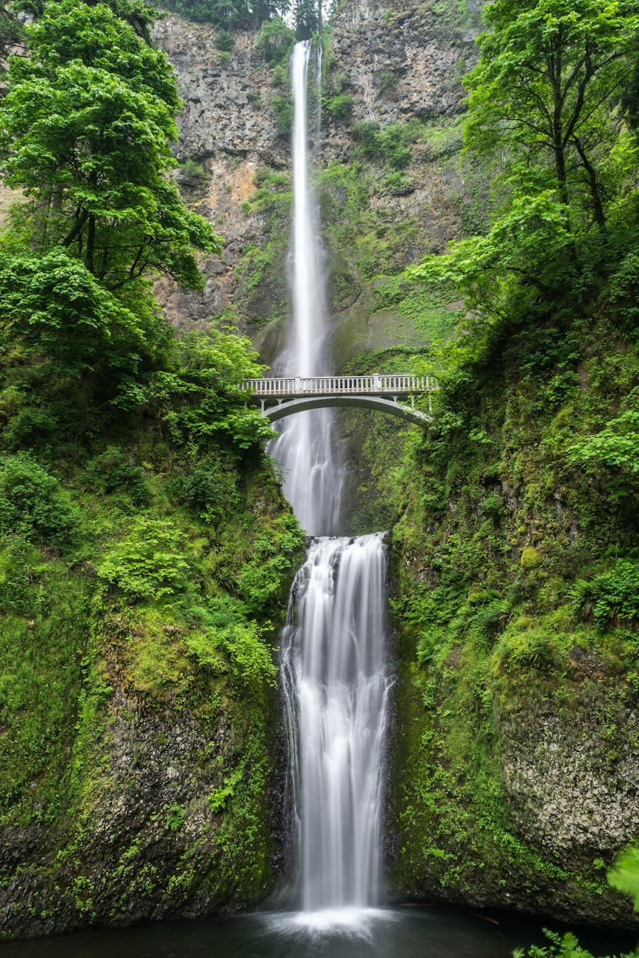 A footbridge above a waterfall in a lush forest